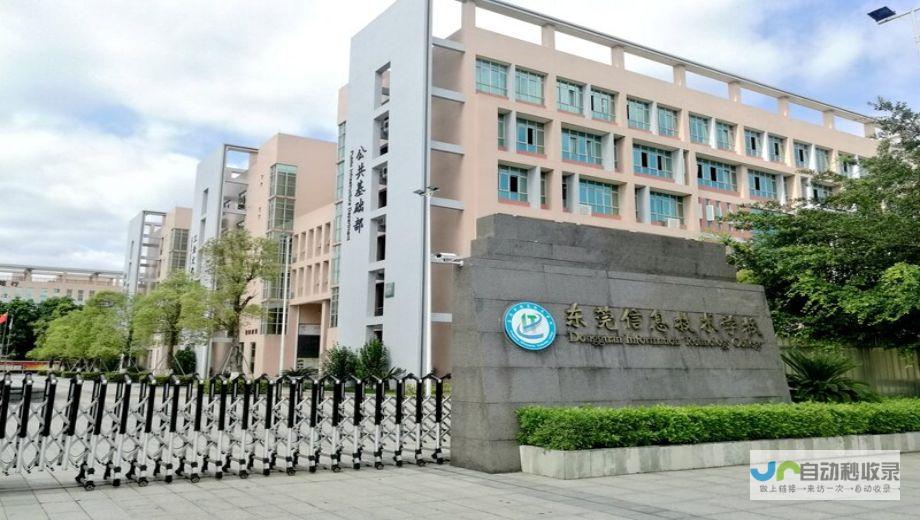 东莞专业网络公司：提供全方位互联网解决方案，满足企业多元化需求